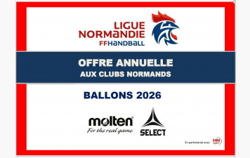 Offre BALLONS HN Sport