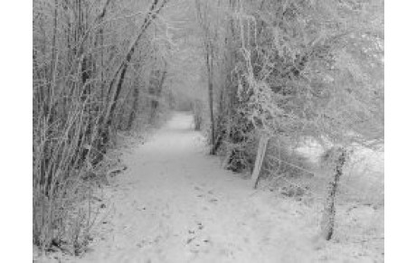 Sous la neige, restez en forme !