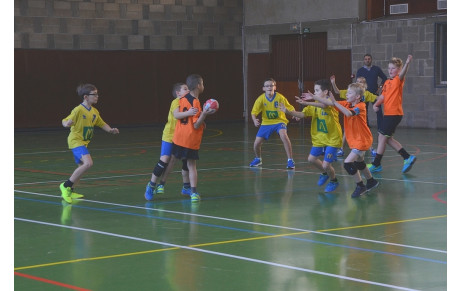 Reprise du handball le 2 mars...