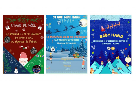 Stages de Noël de l'école de Hand et des G11