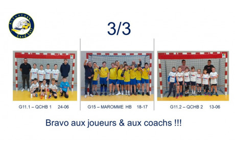3/3 à l'Aulnaie le 19112022